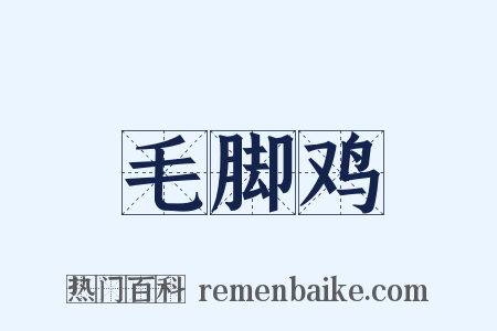毛脚鸡是什么意思的图片
